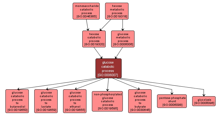 GO:0006007 - glucose catabolic process (interactive image map)