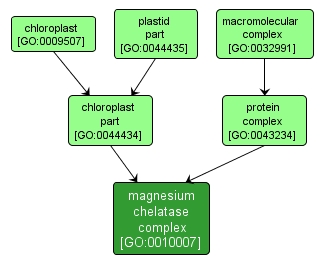GO:0010007 - magnesium chelatase complex (interactive image map)