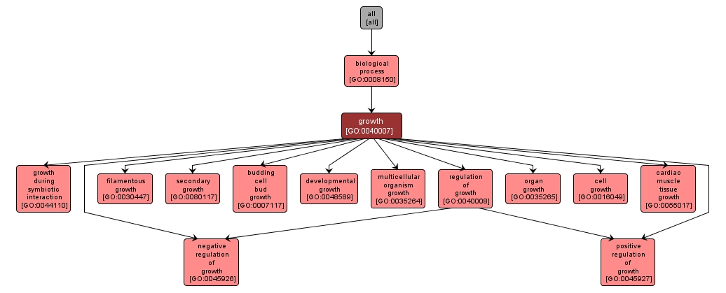 GO:0040007 - growth (interactive image map)