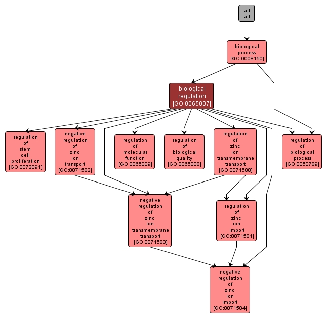 GO:0065007 - biological regulation (interactive image map)