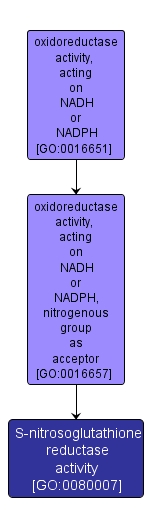 GO:0080007 - S-nitrosoglutathione reductase activity (interactive image map)