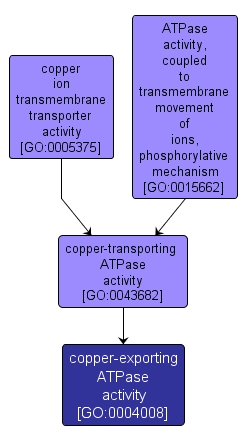 GO:0004008 - copper-exporting ATPase activity (interactive image map)