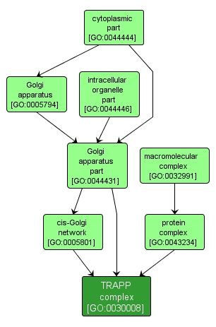 GO:0030008 - TRAPP complex (interactive image map)