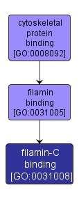 GO:0031008 - filamin-C binding (interactive image map)