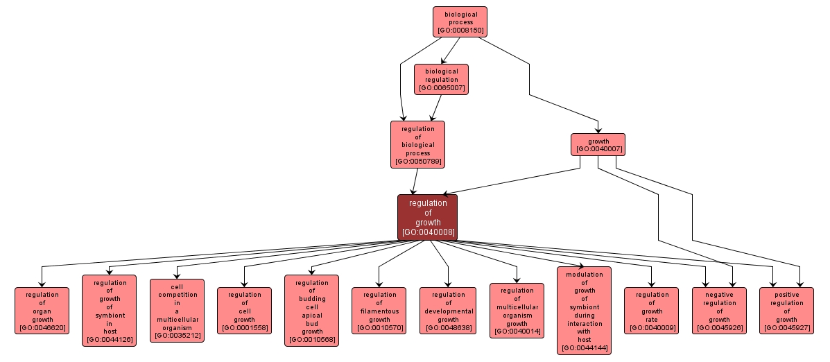 GO:0040008 - regulation of growth (interactive image map)