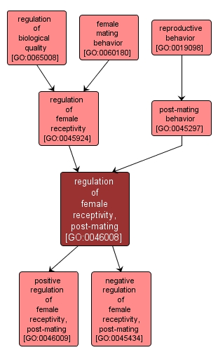 GO:0046008 - regulation of female receptivity, post-mating (interactive image map)