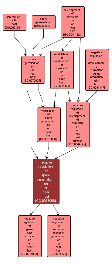 GO:0075008 - negative regulation of spore germination on or near host (interactive image map)