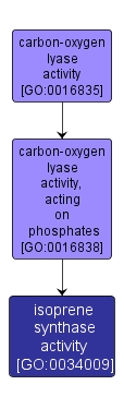 GO:0034009 - isoprene synthase activity (interactive image map)