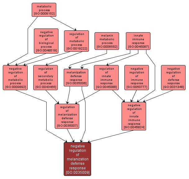 GO:0035009 - negative regulation of melanization defense response (interactive image map)