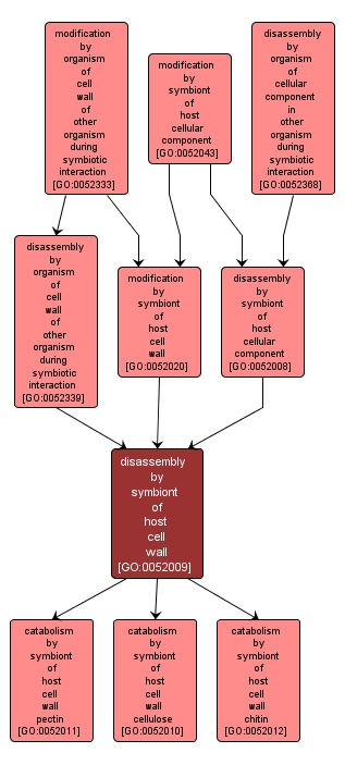 GO:0052009 - disassembly by symbiont of host cell wall (interactive image map)