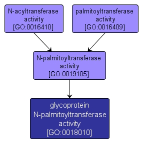GO:0018010 - glycoprotein N-palmitoyltransferase activity (interactive image map)