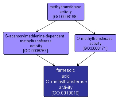 GO:0019010 - farnesoic acid O-methyltransferase activity (interactive image map)