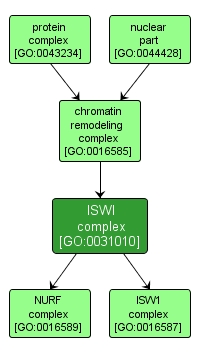 GO:0031010 - ISWI complex (interactive image map)