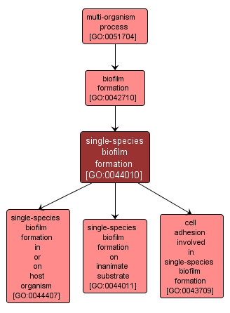 GO:0044010 - single-species biofilm formation (interactive image map)