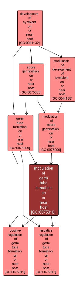 GO:0075010 - modulation of germ tube formation on or near host (interactive image map)