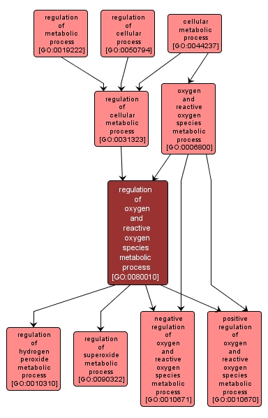 GO:0080010 - regulation of oxygen and reactive oxygen species metabolic process (interactive image map)