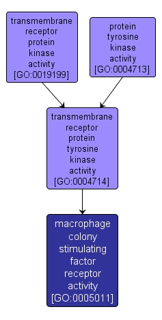 GO:0005011 - macrophage colony stimulating factor receptor activity (interactive image map)