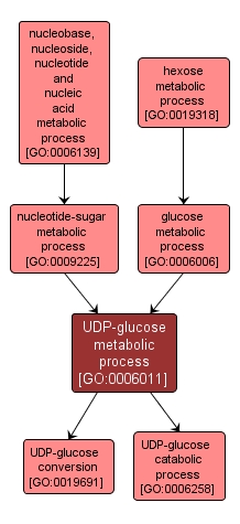 GO:0006011 - UDP-glucose metabolic process (interactive image map)