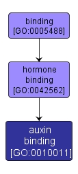 GO:0010011 - auxin binding (interactive image map)