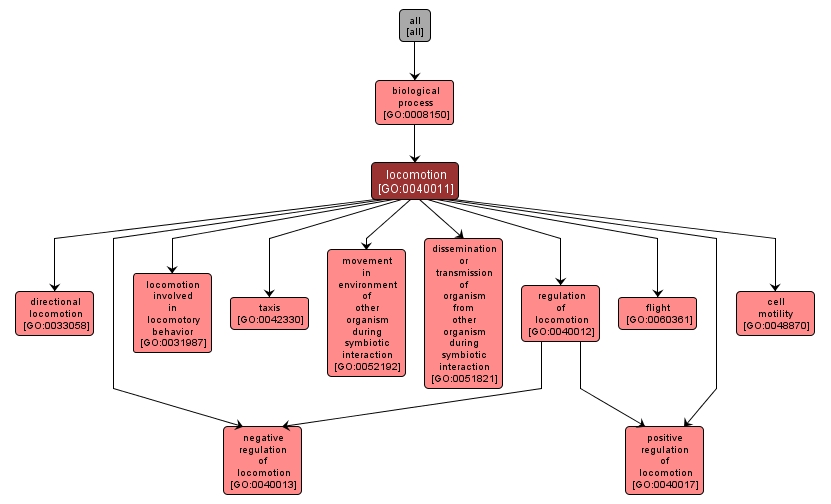 GO:0040011 - locomotion (interactive image map)