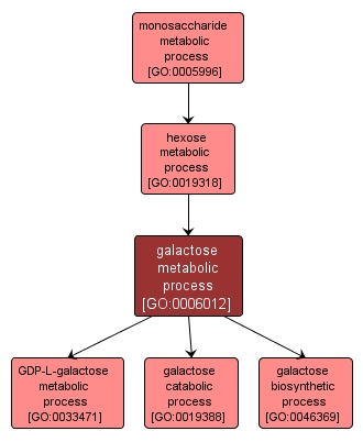 GO:0006012 - galactose metabolic process (interactive image map)