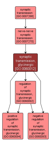 GO:0060012 - synaptic transmission, glycinergic (interactive image map)