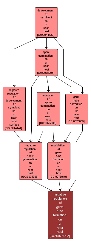 GO:0075012 - negative regulation of germ tube formation on or near host (interactive image map)
