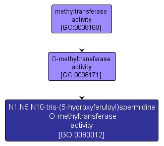GO:0080012 - N1,N5,N10-tris-(5-hydroxyferuloyl)spermidine O-methyltransferase activity (interactive image map)