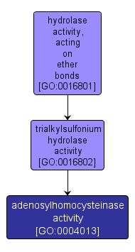 GO:0004013 - adenosylhomocysteinase activity (interactive image map)