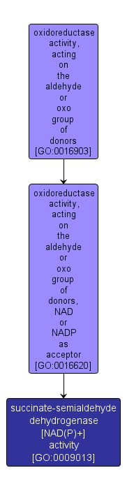 GO:0009013 - succinate-semialdehyde dehydrogenase [NAD(P)+] activity (interactive image map)