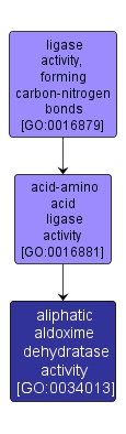 GO:0034013 - aliphatic aldoxime dehydratase activity (interactive image map)
