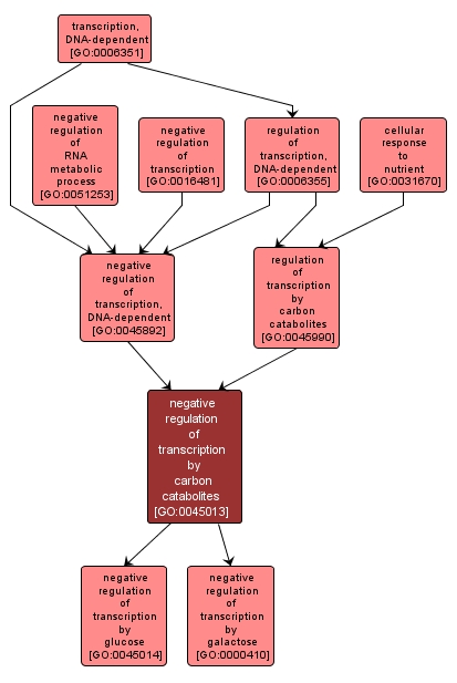 GO:0045013 - negative regulation of transcription by carbon catabolites (interactive image map)