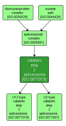 GO:0071013 - catalytic step 2 spliceosome (interactive image map)