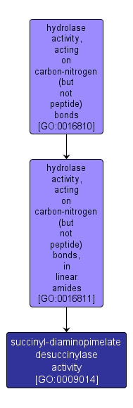 GO:0009014 - succinyl-diaminopimelate desuccinylase activity (interactive image map)