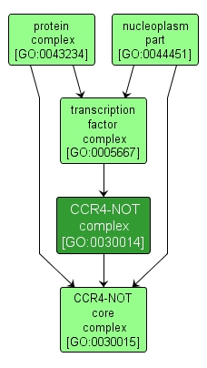 GO:0030014 - CCR4-NOT complex (interactive image map)