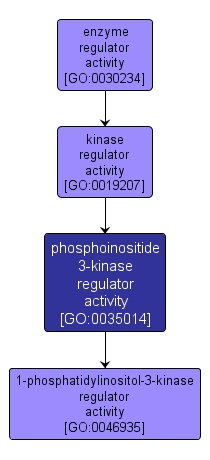 GO:0035014 - phosphoinositide 3-kinase regulator activity (interactive image map)