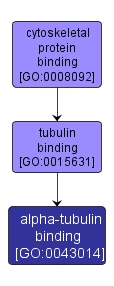 GO:0043014 - alpha-tubulin binding (interactive image map)
