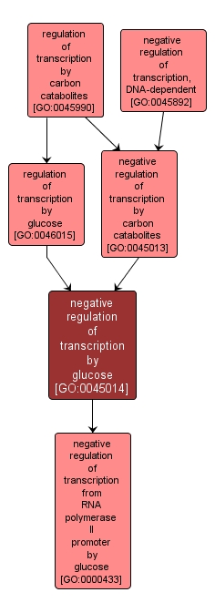 GO:0045014 - negative regulation of transcription by glucose (interactive image map)
