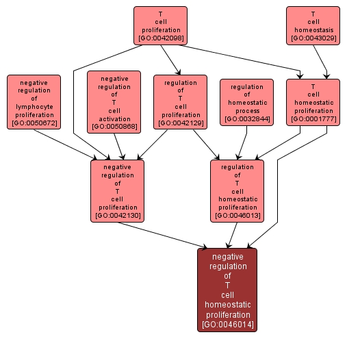 GO:0046014 - negative regulation of T cell homeostatic proliferation (interactive image map)