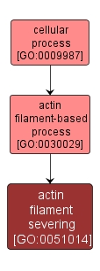 GO:0051014 - actin filament severing (interactive image map)