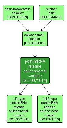 GO:0071014 - post-mRNA release spliceosomal complex (interactive image map)