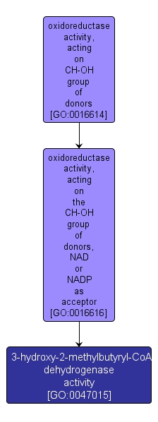 GO:0047015 - 3-hydroxy-2-methylbutyryl-CoA dehydrogenase activity (interactive image map)
