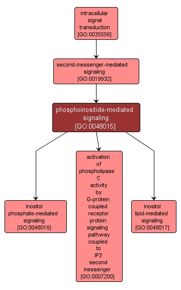 GO:0048015 - phosphoinositide-mediated signaling (interactive image map)