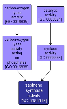 GO:0080015 - sabinene synthase activity (interactive image map)
