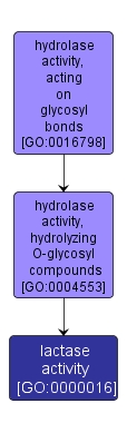 GO:0000016 - lactase activity (interactive image map)