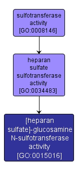 GO:0015016 - [heparan sulfate]-glucosamine N-sulfotransferase activity (interactive image map)