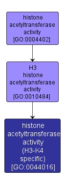 GO:0044016 - histone acetyltransferase activity (H3-K4 specific) (interactive image map)