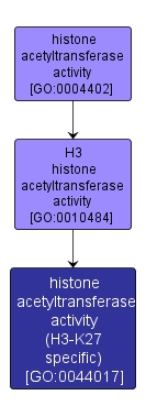 GO:0044017 - histone acetyltransferase activity (H3-K27 specific) (interactive image map)