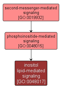 GO:0048017 - inositol lipid-mediated signaling (interactive image map)