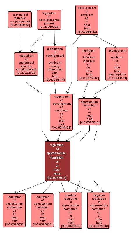 GO:0075017 - regulation of appressorium formation on or near host (interactive image map)